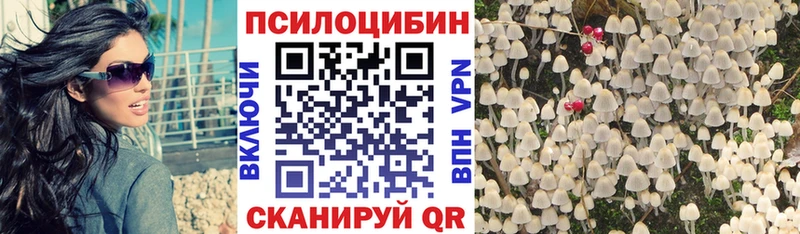 Галлюциногенные грибы GOLDEN TEACHER  OMG зеркало  Рузаевка 